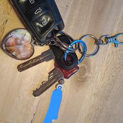 Sleutelbos, as reported to iLost