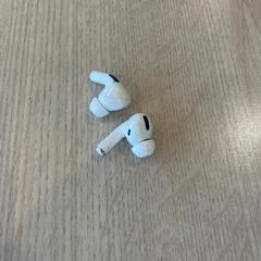 Oortjes, ako bolo nahlásené Van Heugten Tours pomocou iLost