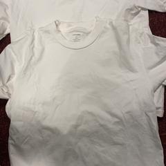 Tshirt, as reported by ibis Styles Rotterdam Ahoy using iLost
