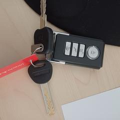 Sleutelbos + fatbike, iLost에 보고됨