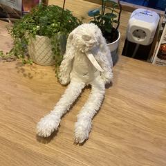 Wit konijn (knuffel Happy Horse)، كما تم الإبلاغ عنه عبر iLost