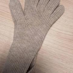 Luvas, como reportado por Qbuzz Fryslân utilizando o iLost