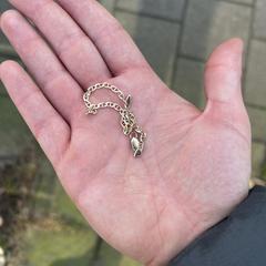 Goudkleurig armbandje, come riportato a iLost