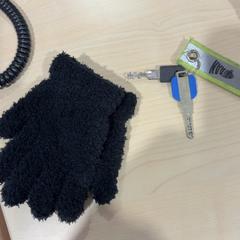 Chiavi, come riportato da Gemeente Wijk bij Duurstede utilizzando iLost