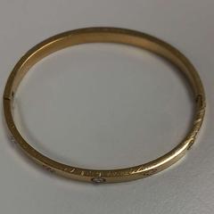 Karkötő, amint azt Arriva West-Brabant az iLost segítségével jelentette.