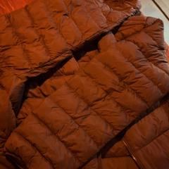 السترة Bruin، كما تم الإبلاغ عنه بواسطة De Heeren van Aemstel عبر iLost