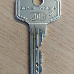 Chiave, come riportato da EBS OV Poeldijk utilizzando iLost