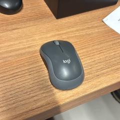 Ratolí grey logitec, segons ha informat Vrije Universiteit Brussel (VUB) mitjançant iLost