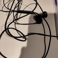 Hoordop, jak nahlášeno Bibliotheek Neude (Utrecht) pomocí iLost