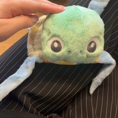 Knuffel Schildpad, como reportado por GVB utilizando o iLost