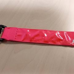 Diverse - Fluoband, zoals gemeld door Regio Oost-Vlaanderen met iLost