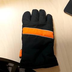 Kleding  - Handschoen, como reportado por Centraal magazijn utilizando o iLost