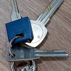 Nøkkelring, som rapportert av CARS HANGARD ved bruk av iLost