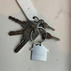 Sleutelbos / keys / sleutels, iLost-i jakinarazi zaion moduan