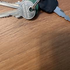 Sleutels, as reported to iLost