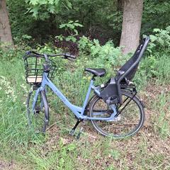 Cortina damesfiets, ako bolo nahlásené iLost