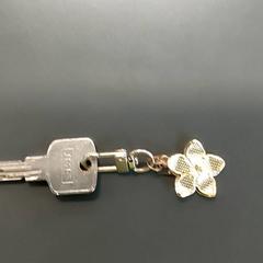 Clés, a été signalé par Centraal magazijn utilisant iLost