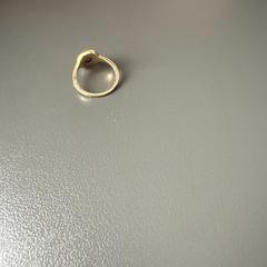 Ring met zegel, as reported to iLost