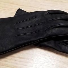 手袋 Zwart がiLostで Qbuzz Fryslân によって報告されました