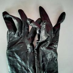 Luvas, segundo informou Twisto usando iLost