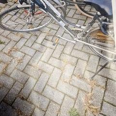 Bicicleta de senhora, como reportado por Gemeente Roermond utilizando o iLost