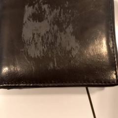 Carteira, segundo informou Arriva Limburg Noord usando iLost