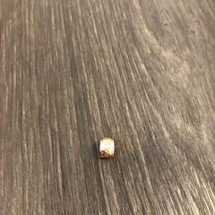 Kraal | Mainstage, iLost를 사용하여 Libéma Beurzen en Evenementen에 보고됨