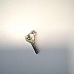 Chiave, come riportato da Twisto utilizzando iLost