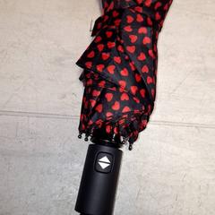 Parapluutje، كما تم الإبلاغ عنه بواسطة Qbuzz DMG عبر iLost