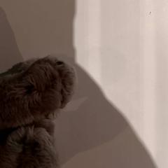 Knuffel knudfel, as reported by De Efteling using iLost