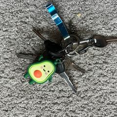Keys sleutels avocado, as reported to iLost