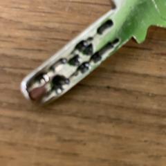 Nyckel, rapporterat av IKEA立川 med iLost