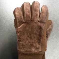 Luvas Donkerbruin, segundo informou Arriva Vechtdallijnen usando iLost