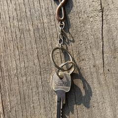 Sleutel met sleutelhanger a été signalé sur iLost