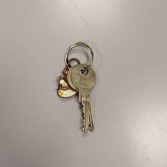 Key, as reported by Vrije Universiteit Amsterdam using iLost