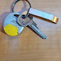 Nøkkelring, som rapportert av Gemeente Zutphen ved bruk av iLost