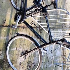 Pánské kolo Giant, jak nahlášeno Stadswerk072 pomocí iLost