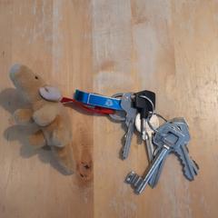 sleutels, segundo informou a iLost