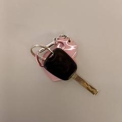 Gakoa Zwart, gisa salatu by Heidelberglaan 7 iLost erabiliz