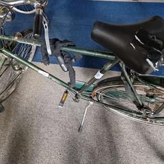 Bici da donna, come riportato da Gemeente Roermond utilizzando iLost