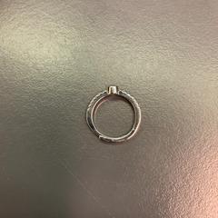 Ring, zoals gemeld door Eindhoven Airport met iLost