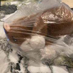 Mazlící hračka, jak nahlášeno Van der Valk Hotel Heerlen pomocí iLost