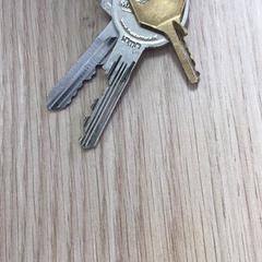 İLost kullanarak Diakonessenhuis Zeist tarafından bildirildiği gibi Anahtar