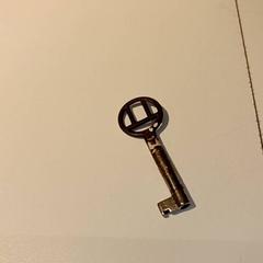 المفاتيح (متنوعة)، كما تم الإبلاغ عنه بواسطة IKEA Groningen عبر iLost