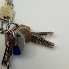 Brelok do kluczy, zgłoszono przez ilévia przy użyciu iLost