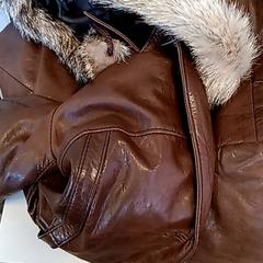 Jacka, rapporterat av U-OV Amersfoort med iLost