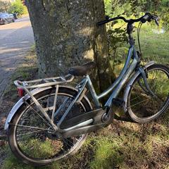 Fiets, as reported to iLost