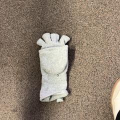 Guant & Guants, segons ha informat Burgers' Zoo mitjançant iLost