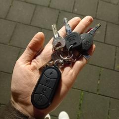 Sleutelbos, as reported to iLost