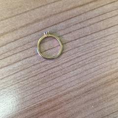 Anillo rimg, ha sido reportado por Transdev Gooi en Vechtstreek con iLost